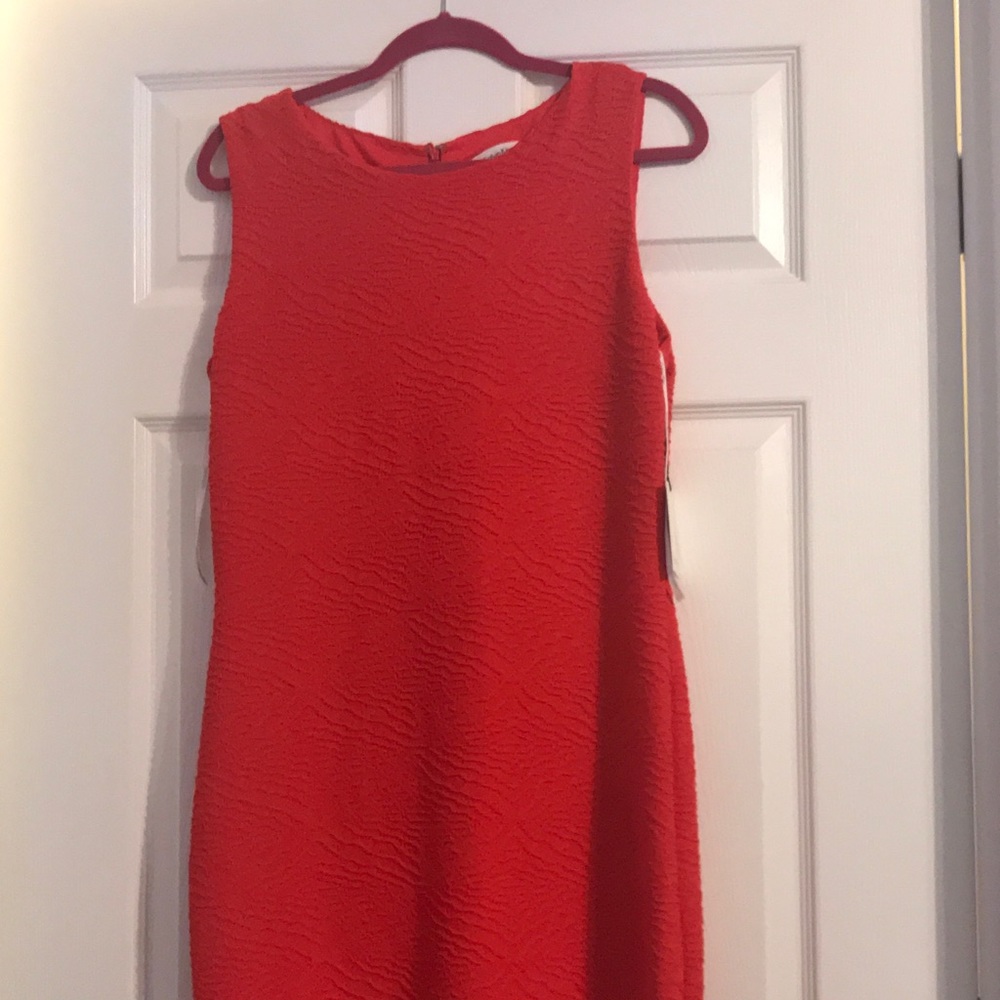 Calvin Klein Dress